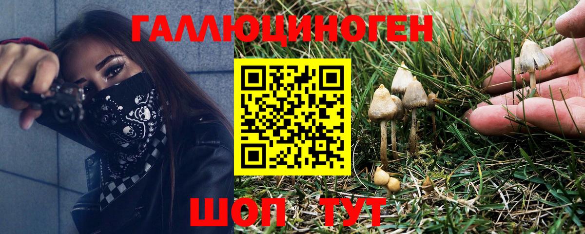 Галлюциногенные грибы Cubensis Вышний Волочёк