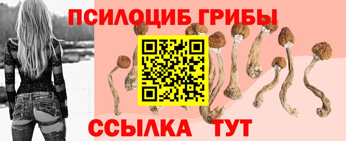 Вышний Волочёк  Галлюциногенные грибы GOLDEN TEACHER  купить   Вход с VPN 