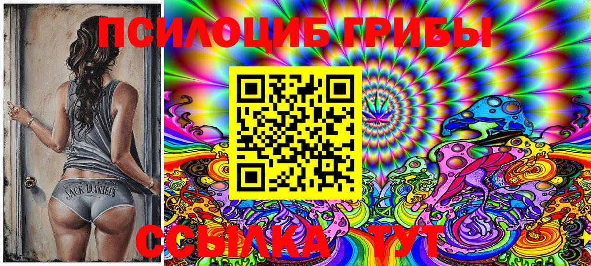 Галлюциногенные грибы Magic Shrooms Вышний Волочёк